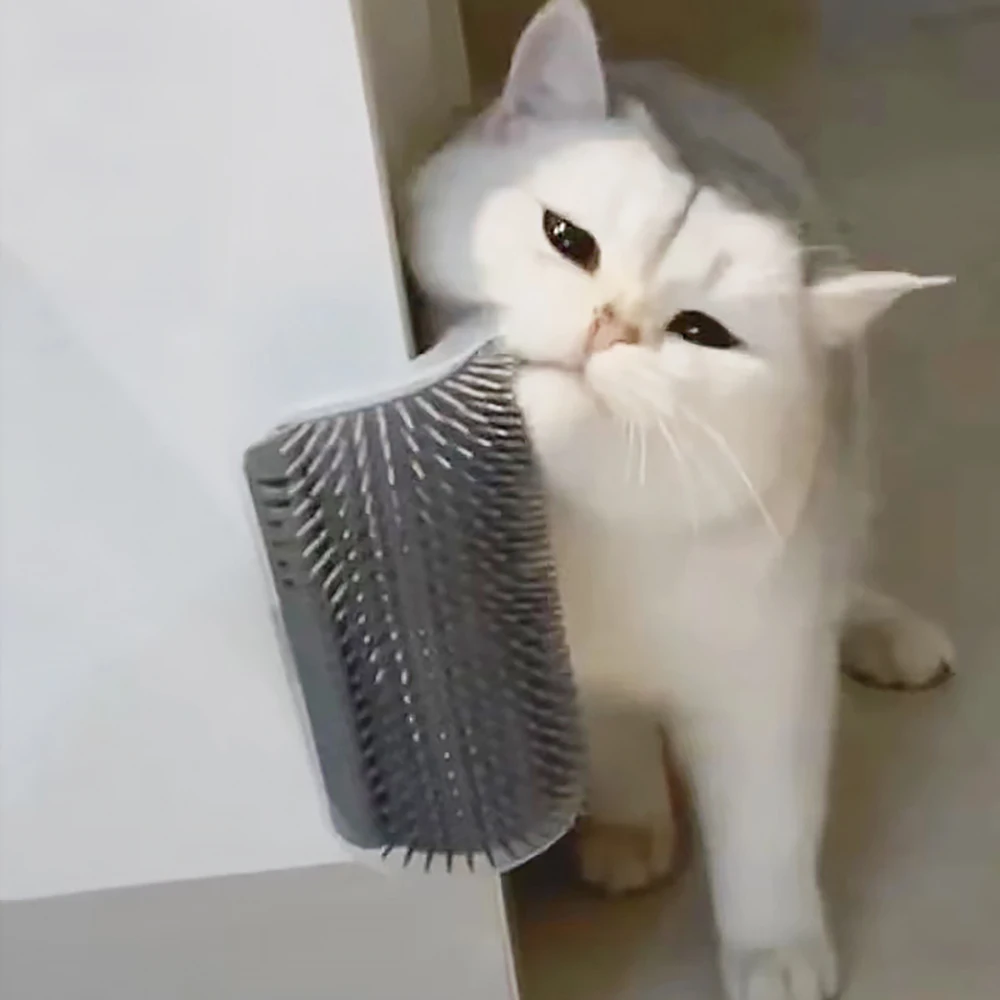Massagegerät für Katzen, PP-Ma – Hair Care Good Hair Bewertung und Preis