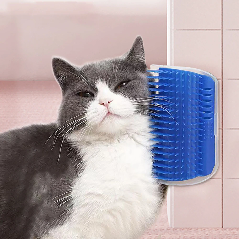 Massagegerät für Katzen, PP-Ma – Hair Care Good Hair Bewertung und Preis