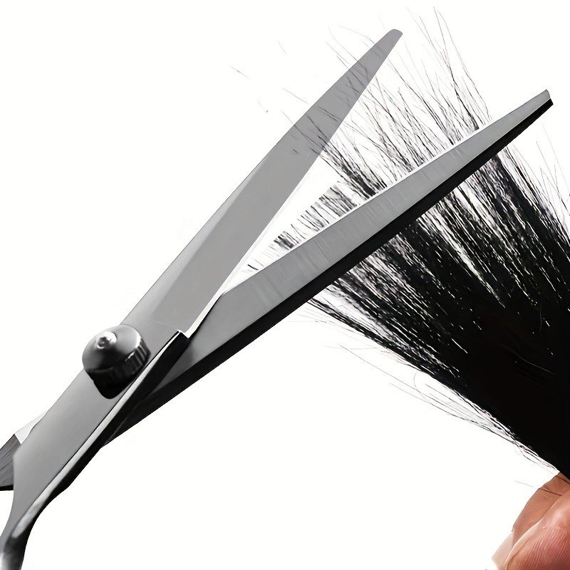 Friseurscheren-Set, 6 Zoll Haa – Hair Care Kit Bewertung und Preis